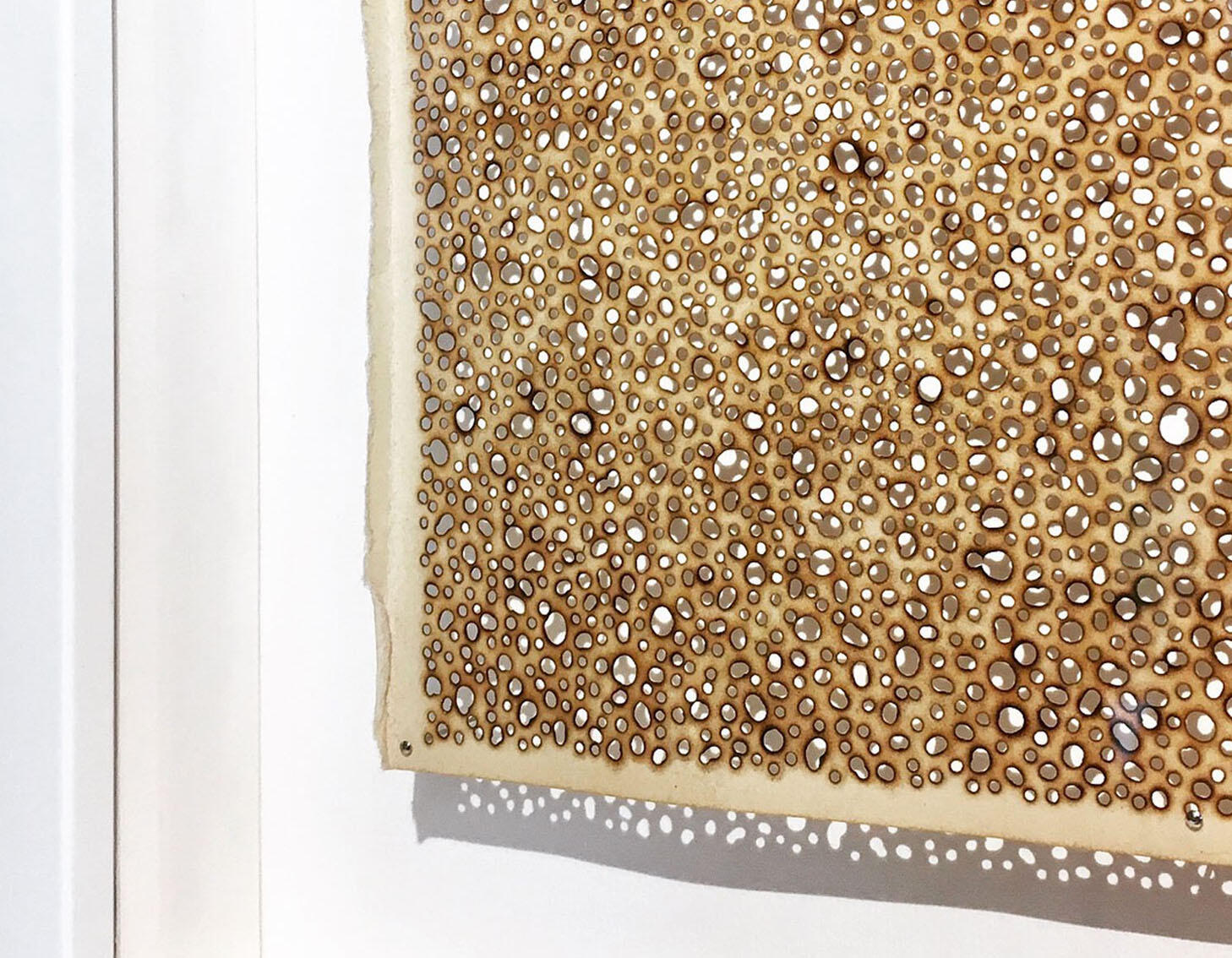 Untitled (detail), 2018, found book page burned with soldering iron