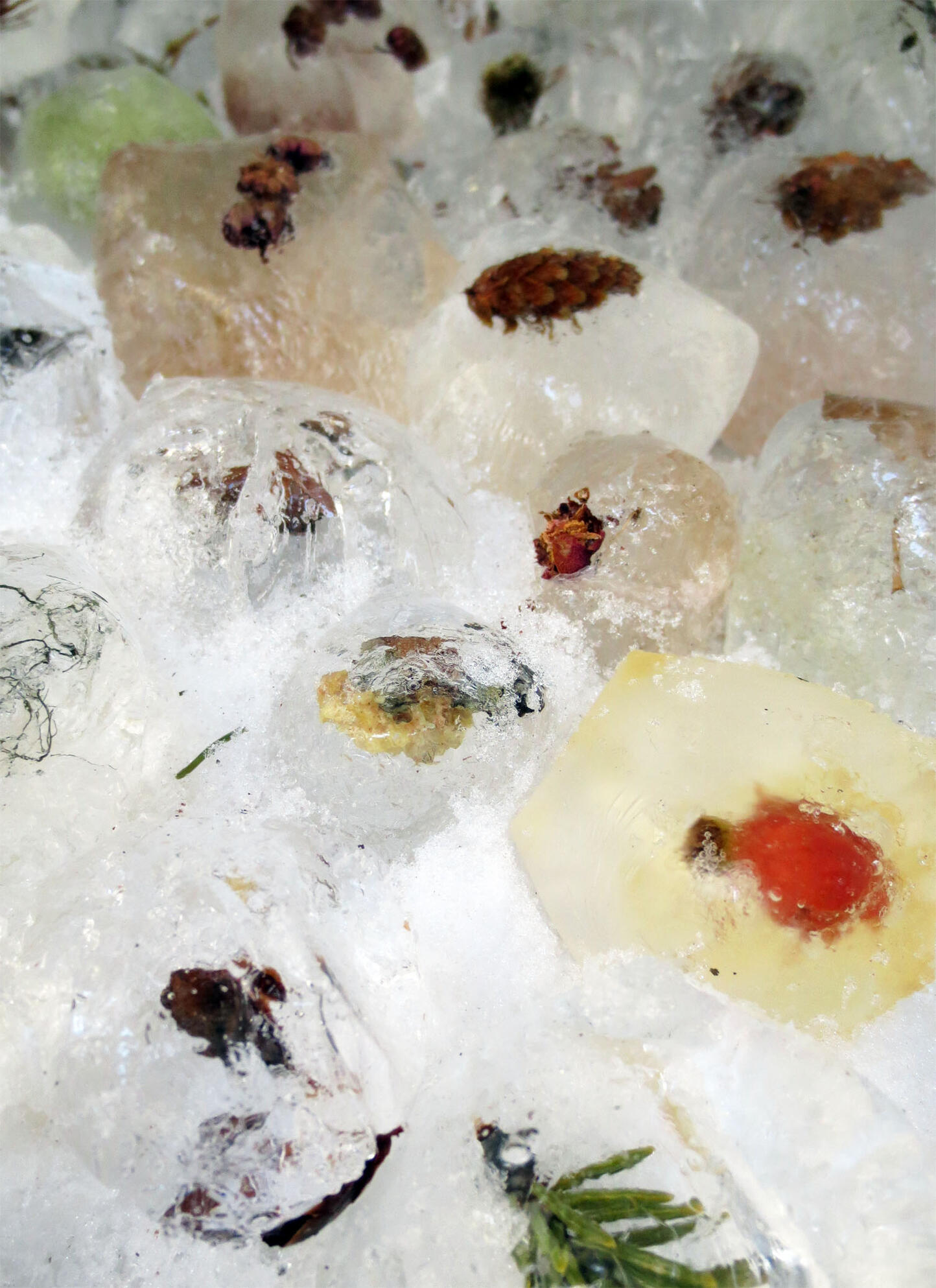 Cache (detail), 2013, found natural materials, water, time