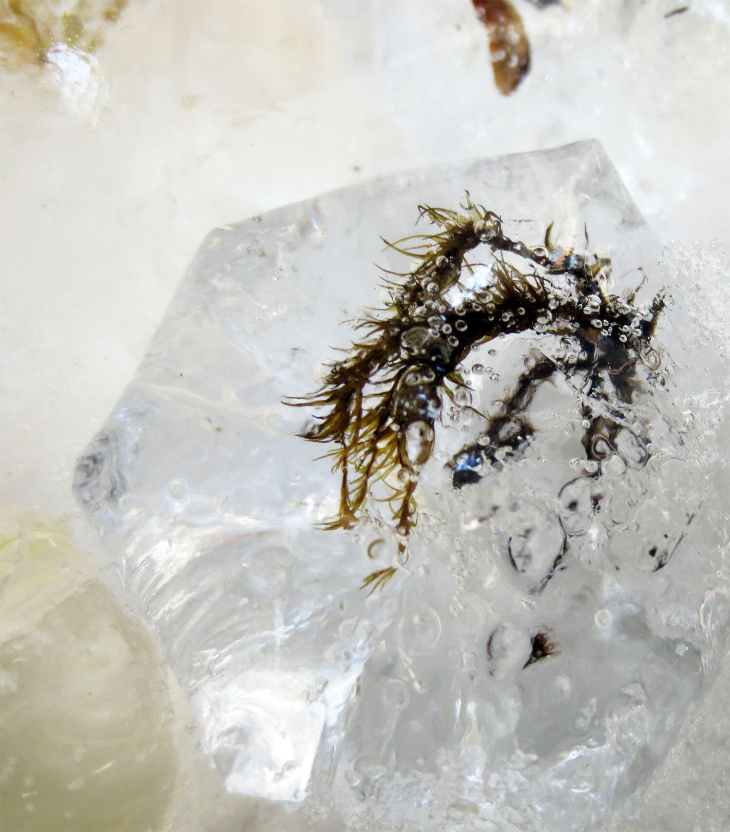 Cache (detail), 2013, found natural materials, water, time