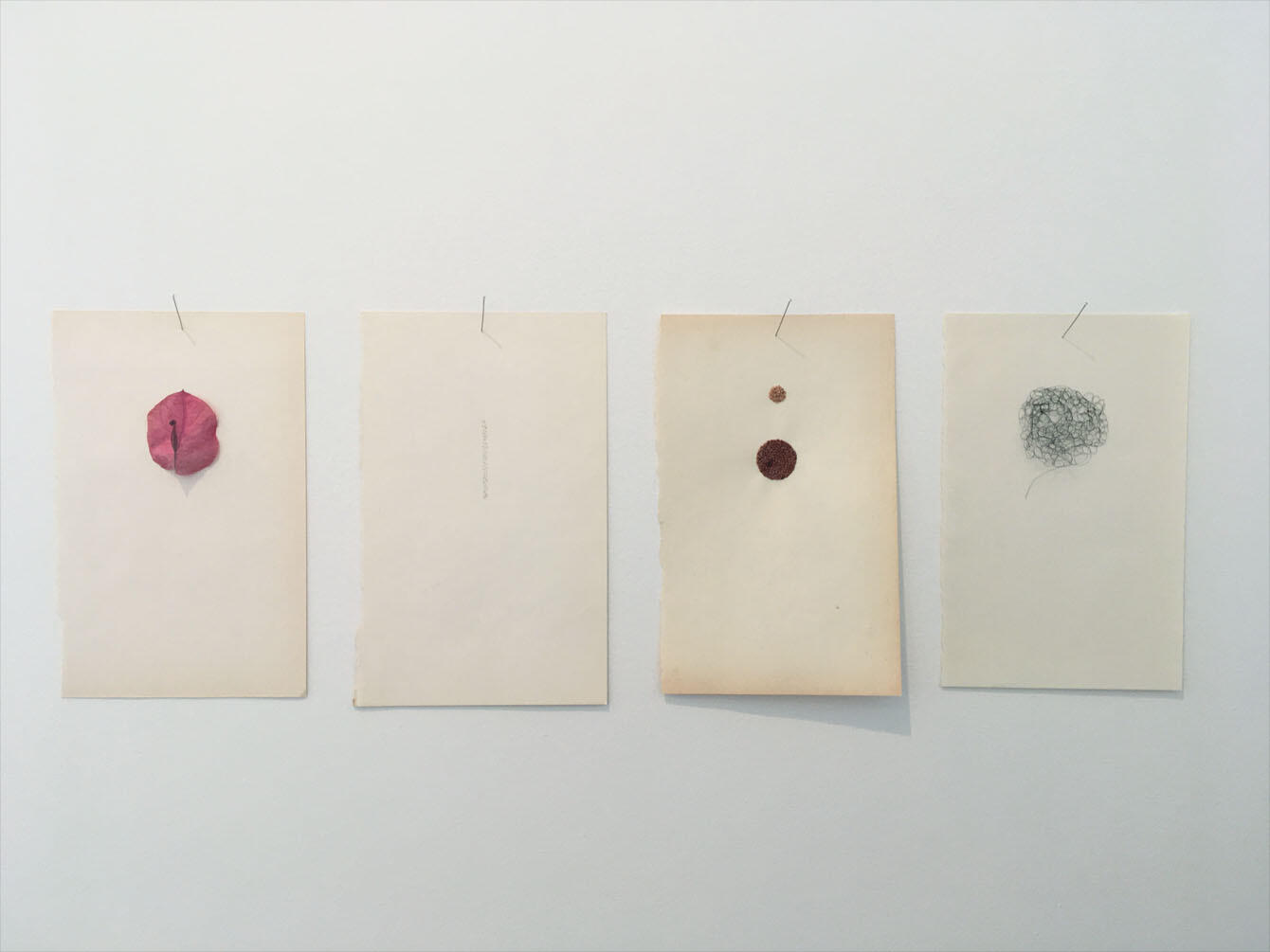 Female Study, 2017, flower petal, human hair, seeds, nylon thread, found book pages