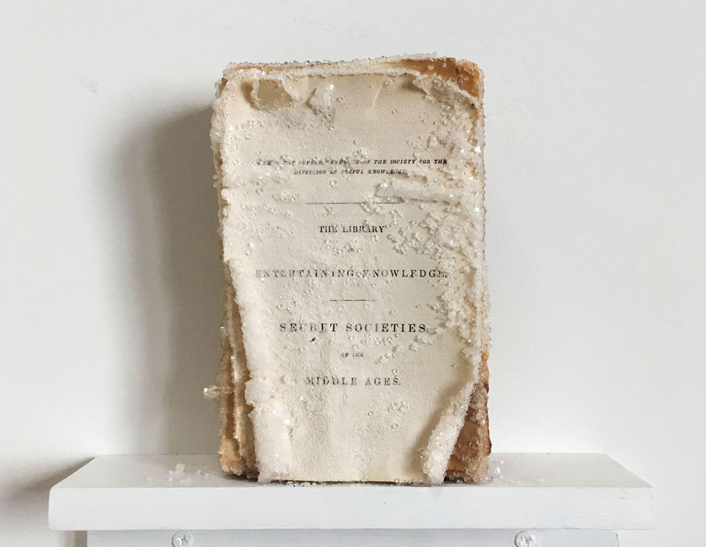 Relic, 2017, found book, crystallized with alum